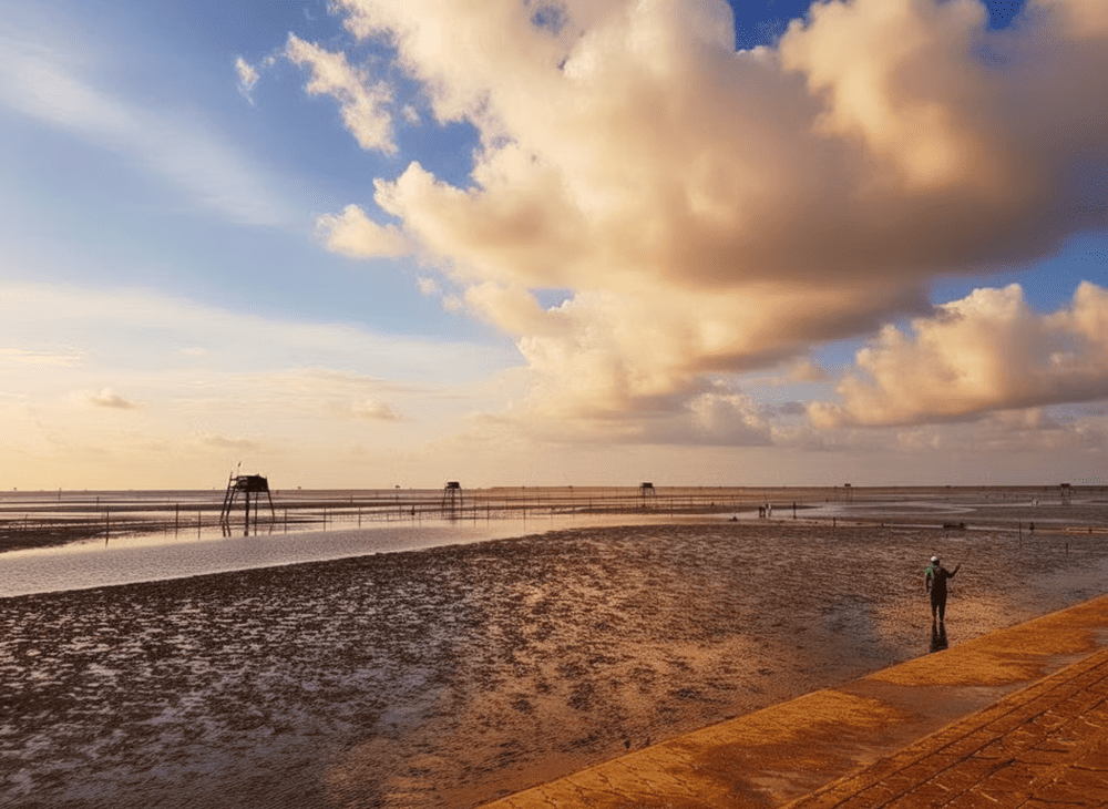 Bãi cát đen đặc trưng tại khu du lịch biển Tân Thành